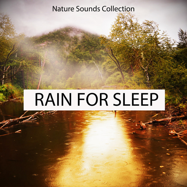 Nature Sounds Collection Rain for Sleep cover art