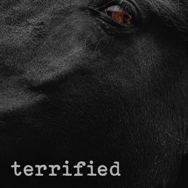 Terrified cover
