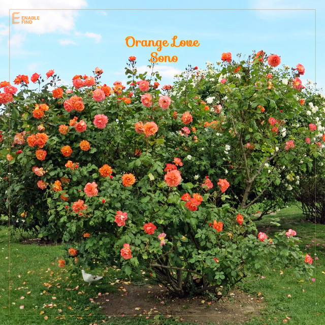 Orange Love cover art