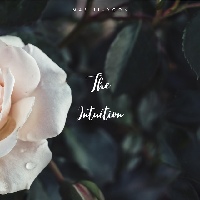 The Intuition cover