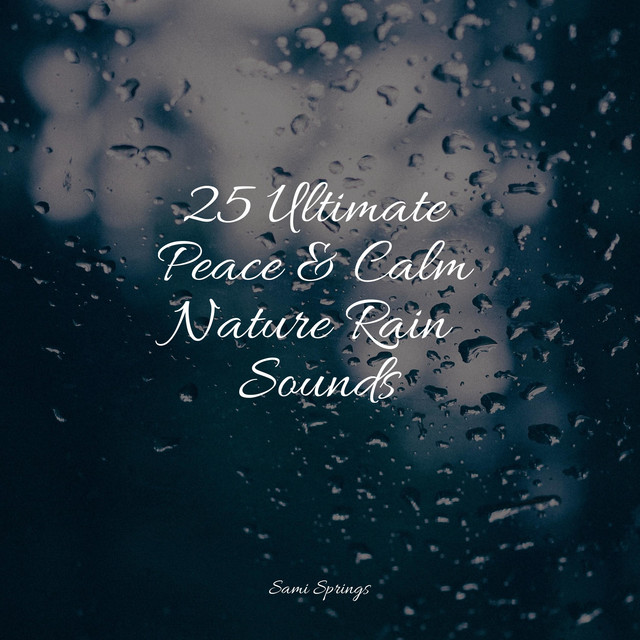 25 Ultimate Peace & Calm Nature Rain Sounds - Album by Sounds of Nature ...
