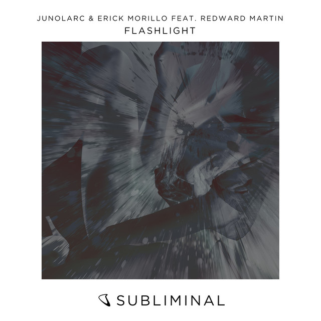 Flashlight cover art