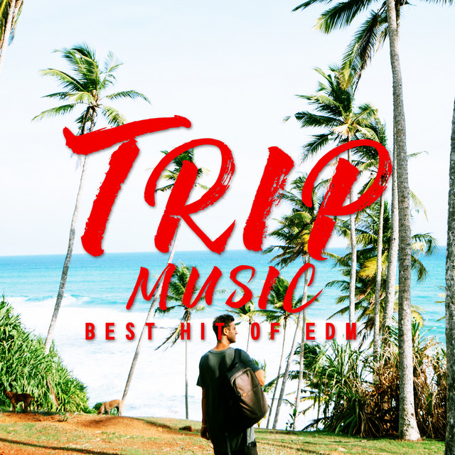 TRIP MUSIC -BEST HIT OF EDM- - Album by Plusmusic | Spotify