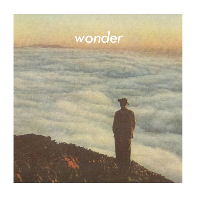 wonder cover art