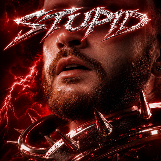 STUPID