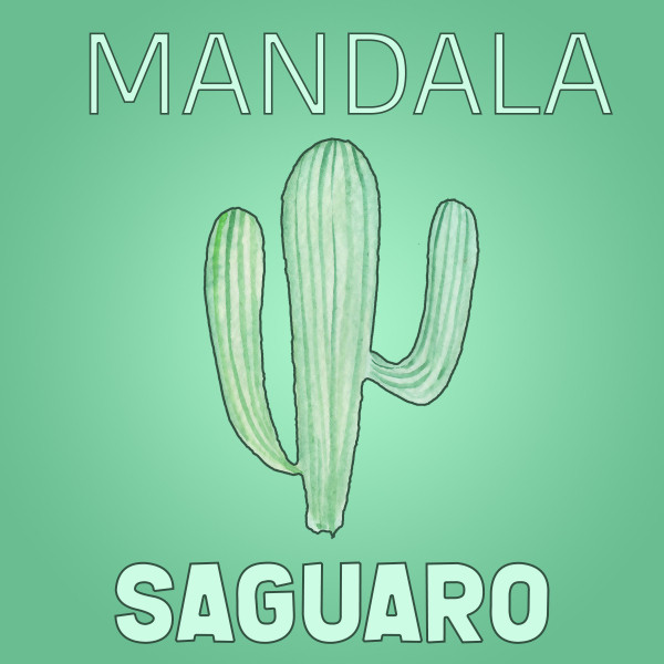 Saguaro cover art
