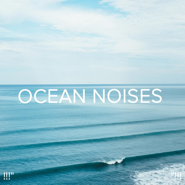 !!!" Ocean Noises "!!! cover art