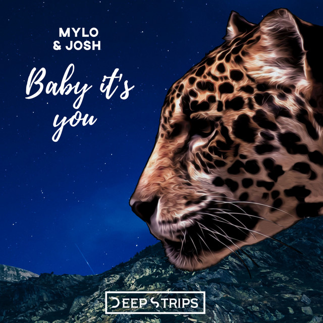 Baby Its You cover