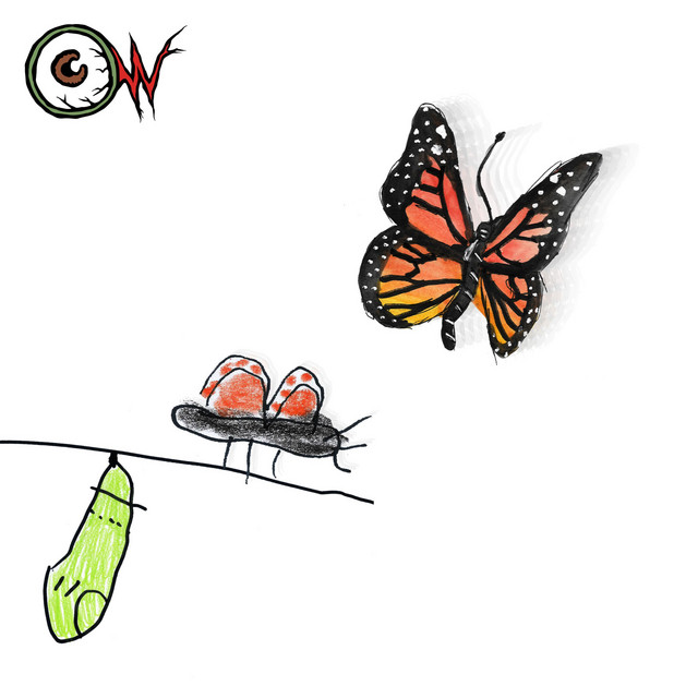 Mariposas
