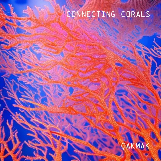 Connecting Corals - Ben Muetsch Remix cover art