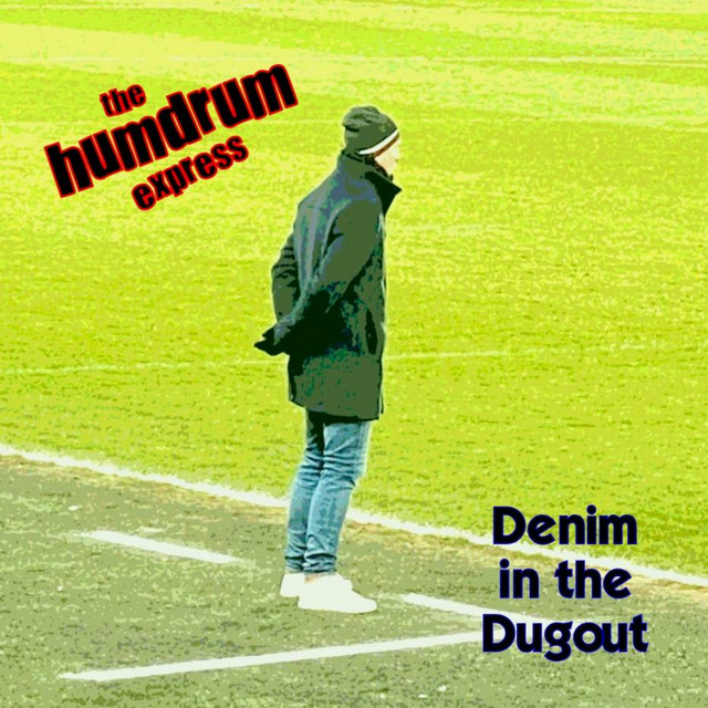 Denim in the Dugout cover