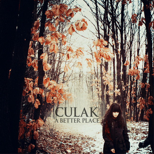 A Better Place cover art
