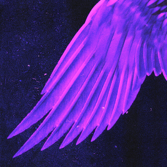 Angels cover art
