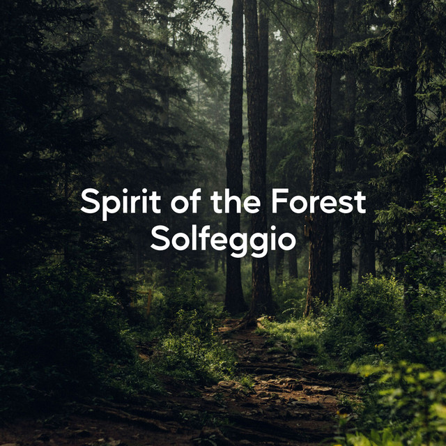 Spirit of the Forest Solfeggio (528 Hz)