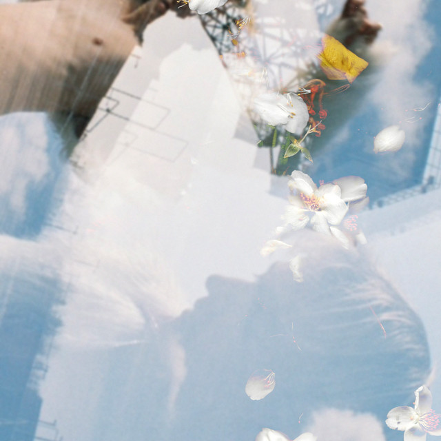 gebrochenes licht cover art