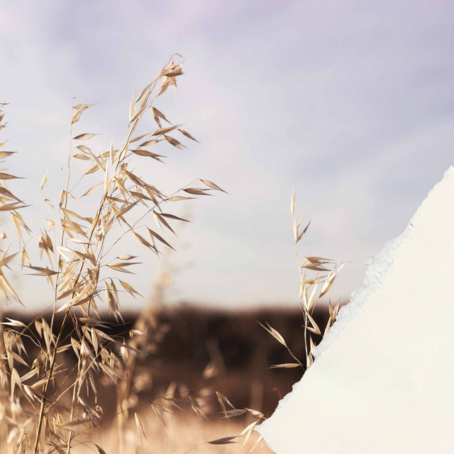 Jazz - Background Music for Fall Self Care cover art