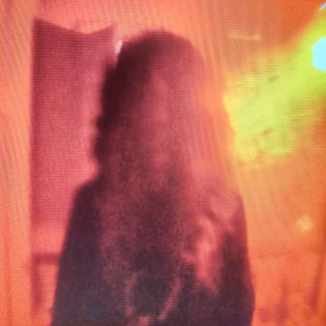 MORE... MORE BRAINzZ cover art