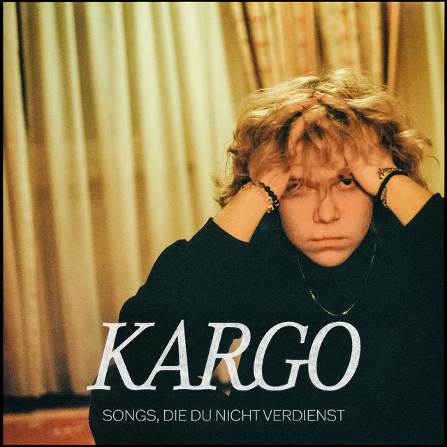 Songs, Die Du Nicht Verdienst cover