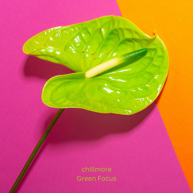Обкладинка: Green Focus — Chillmore