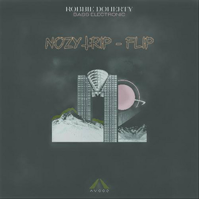 Robbie Doherty (Call It What You Like) [NozyTrip Flip] cover