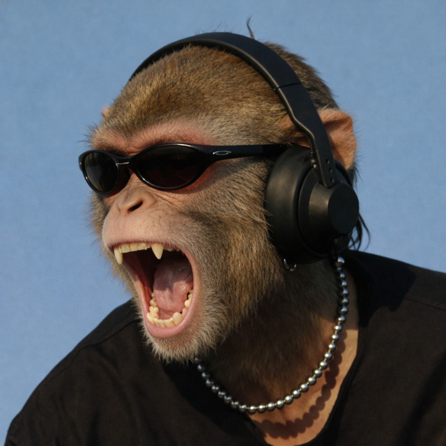 群猴闹天宫 (Monkeys Going Ape Shit - 小刀会序曲 Tiehan Flip) artwork