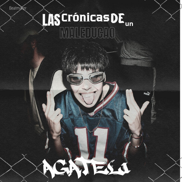 Las cronicas de un MALEDUCAO. cover art