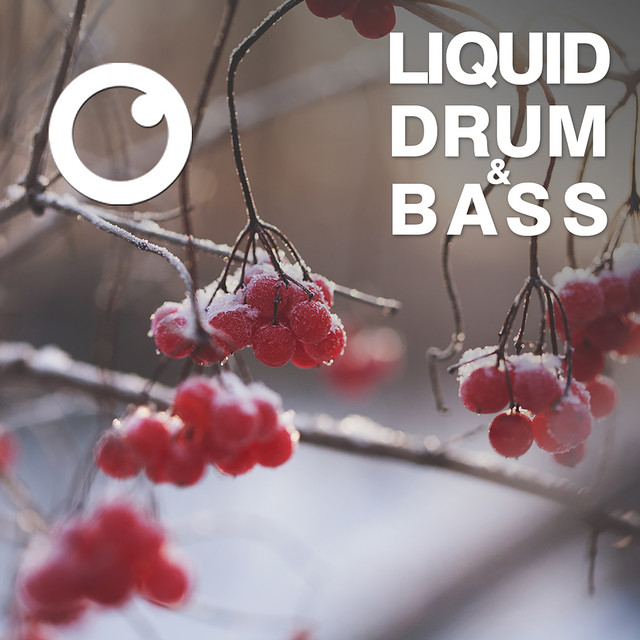 Liquid Drum & Bass Sessions 2020 Vol 17 - The Mix artwork