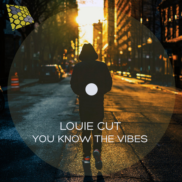 You Know The Vibes album art