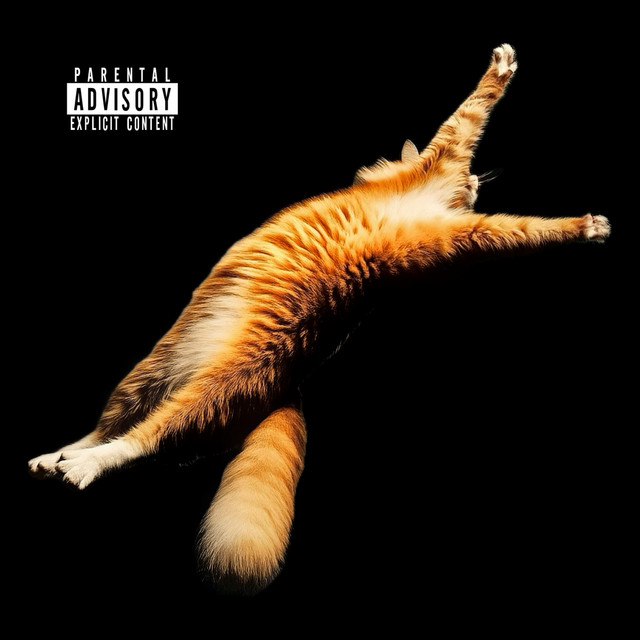 Backflip cover art