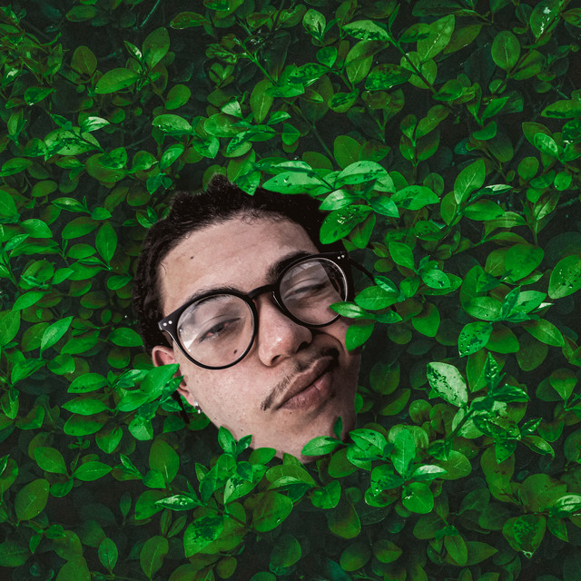 Chá Matt