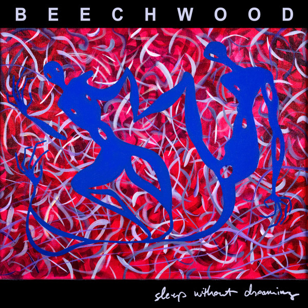 Sleep Without Dreaming cover art