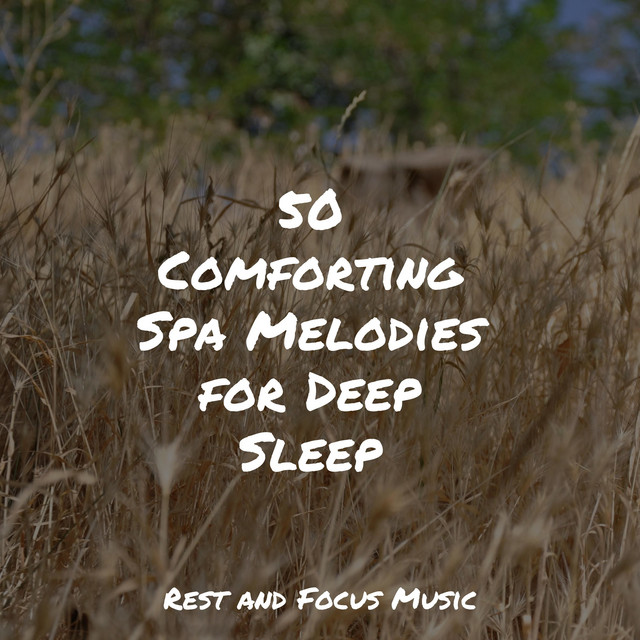 50 Comforting Spa Melodies for Deep Sleep - Album by Relaxation Music ...