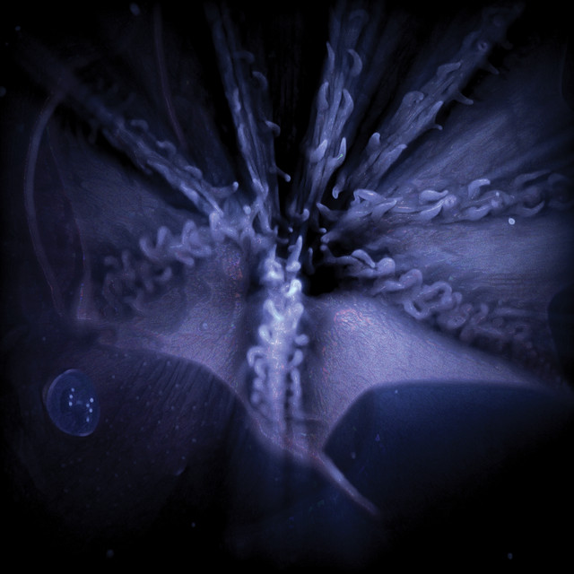 Wax and Wane artwork