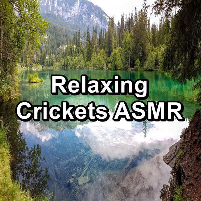 Relaxing Crickets ASMR cover art