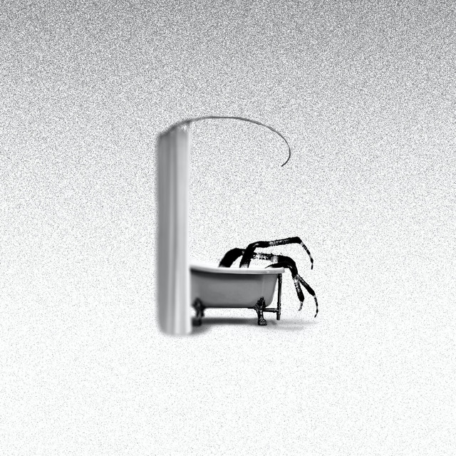 Showering With Spiders cover art