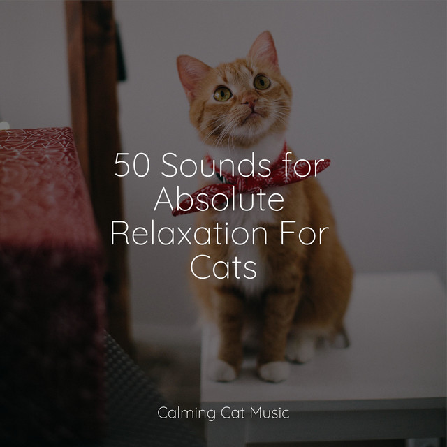 50 Sounds for Absolute Relaxation For Cats - Album by Cat Music Therapy ...