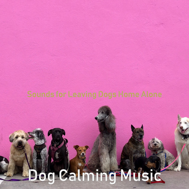 Sounds for Leaving Dogs Home Alone cover art