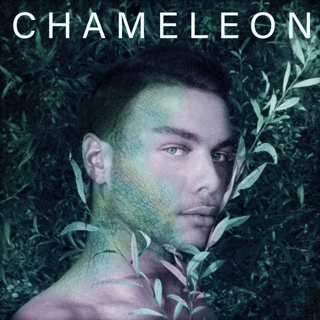 Chameleon cover art