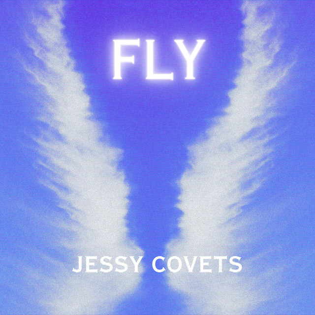 FLY cover art
