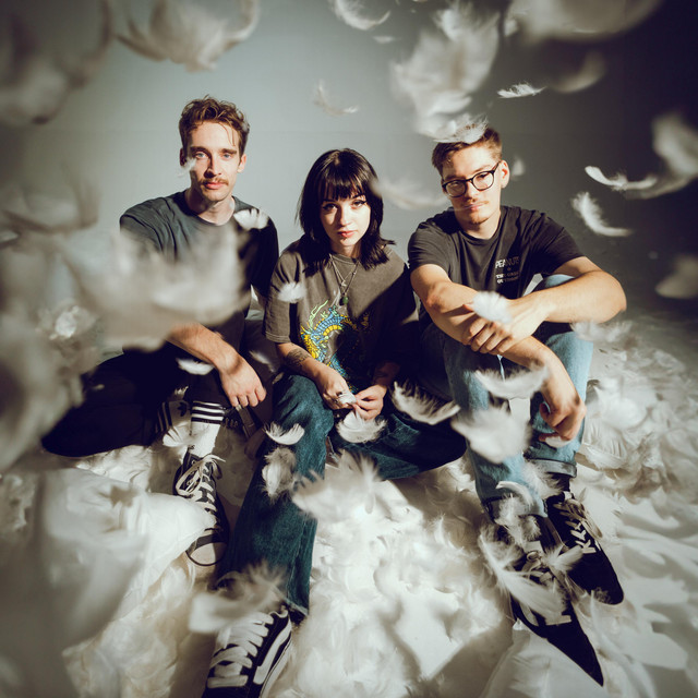 Featherbed cover art