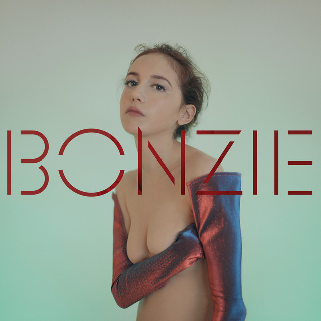 Zone on Nine cover art