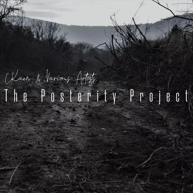 The Posterity Project cover art