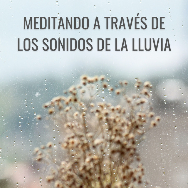 Meditando A Través De Los Sonidos De La Lluvia cover art
