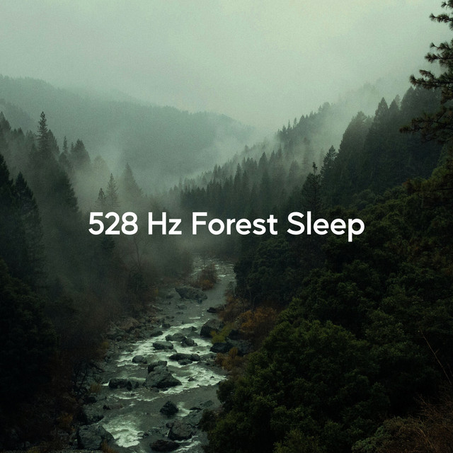 528 Hz Forest Sleep (Morning Awakening)
