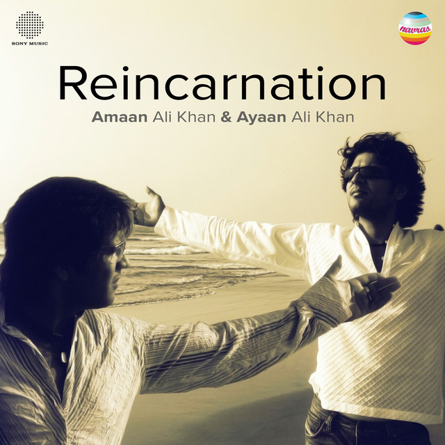 Reincarnation (An Electronic Odyssey) cover art