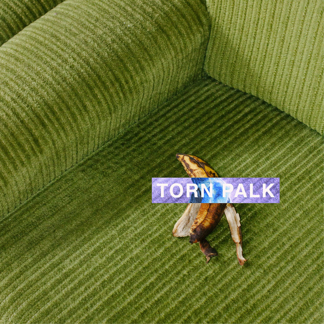 Torn Palk cover art