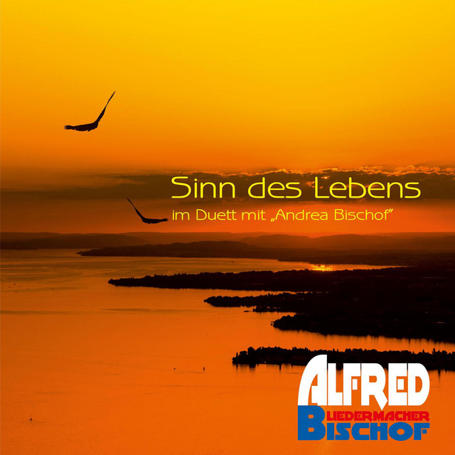 Des kan net si (Radio-& Tv Edit) cover art