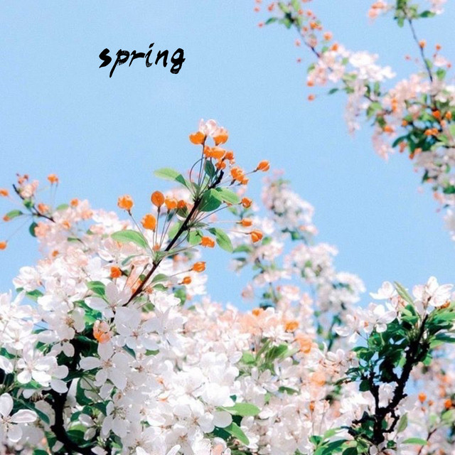 Spring cover art