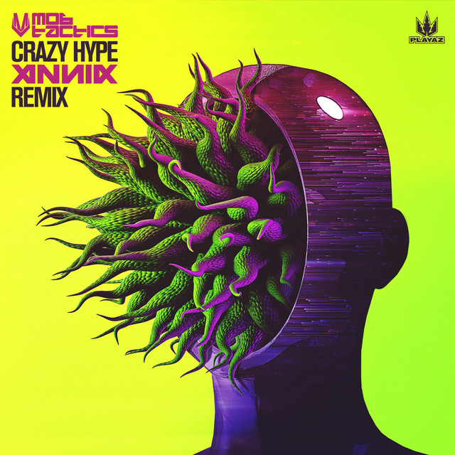 Crazy Hype - Annix Remix album art