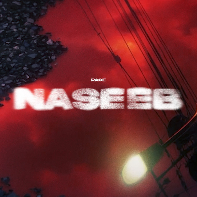 Naseeb cover art